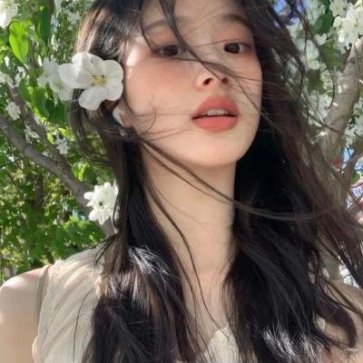 隆美尔宝藏